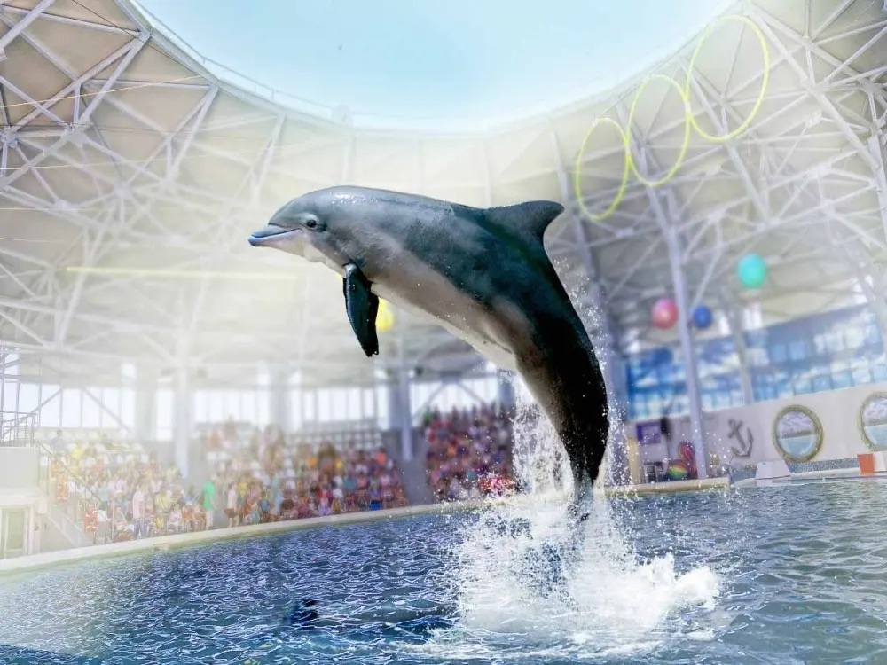 Dolphin Park Dolphin Show – Unforgettable Family Experience in Antalya - 2