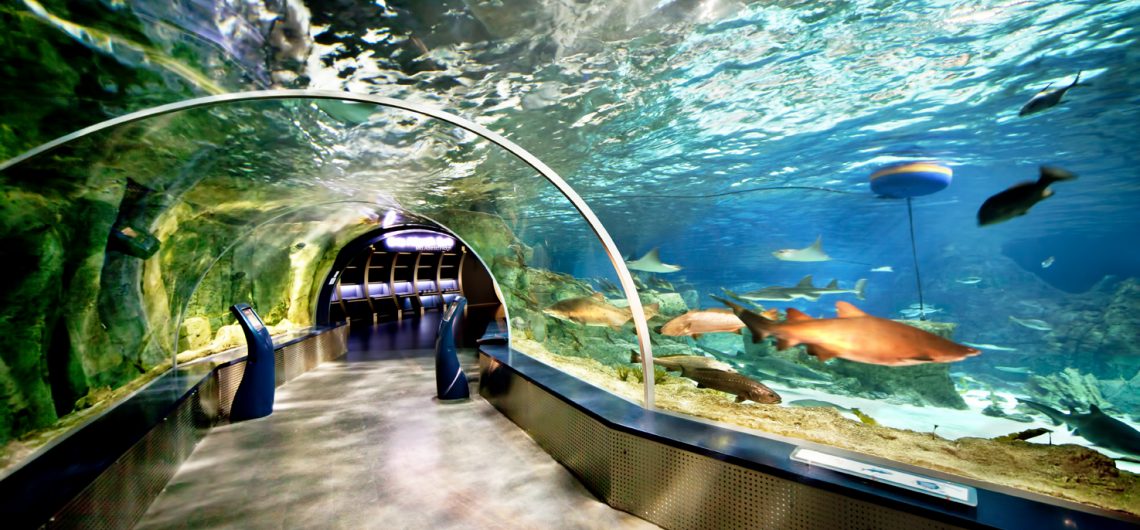 Antalya Aquarium Full-Day Trip